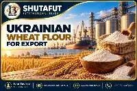 Ukrainian Wheat Flour for Export