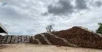 Natural Wood Charcoal