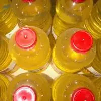 Olive Oil