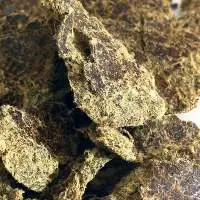 Cotton seed oil cake