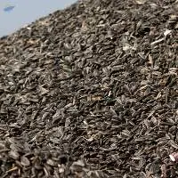 Sunflower oil seeds