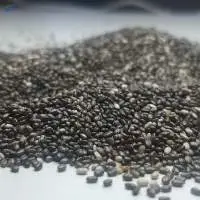 chia seed