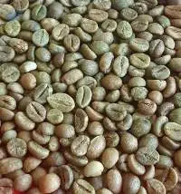 Green Coffee Beans