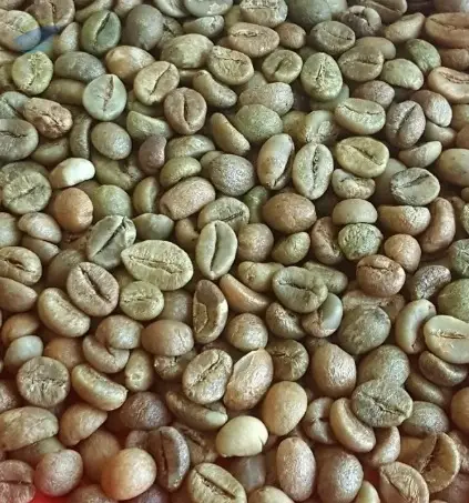 Green Coffee Beans