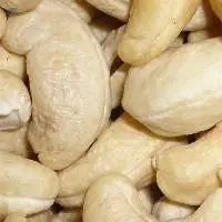 cashew nut