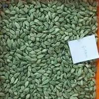 Green Cardamom
