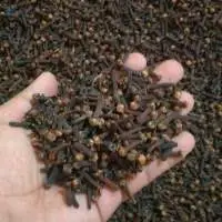 Cloves