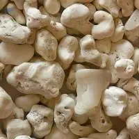 coral sand