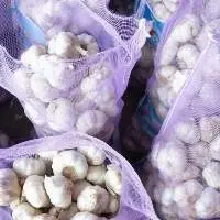 Fresh Garlic