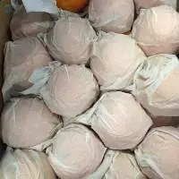 Fresh Navel and Valencia Oranges