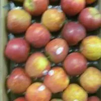 Fresh Apple