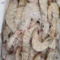 Dried and Frozen Prawn/ Shrimps