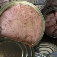 Canned Tuna