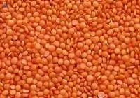 Red Lentils (Masoor Dal)