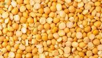 Pigeon Pea (Toor / Arhar Dal)