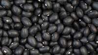 Black Gram (Urad Dal)