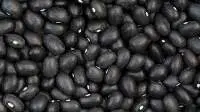 Black Gram (Urad Dal)