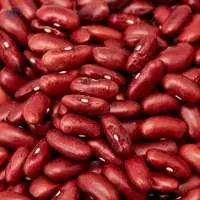 Kidney Beans (Rajma)