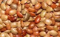 Horse Gram (Kulthi Dal)