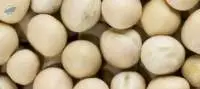 Dry Peas (Green & Yellow Matar)