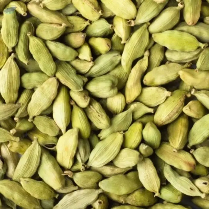 Cardamom (Elaichi)