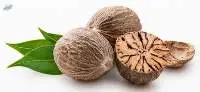 Nutmeg (Jaifal)