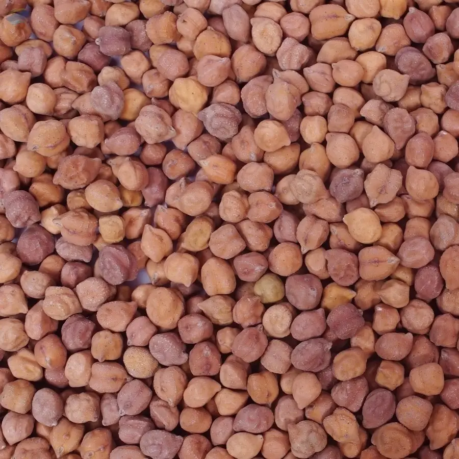 Brown Chickpeas