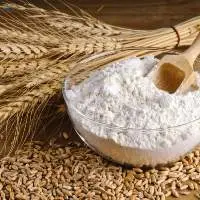 Wheat Flour