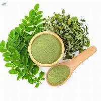 Moringa Tree Products