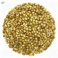 Coriander Seeds