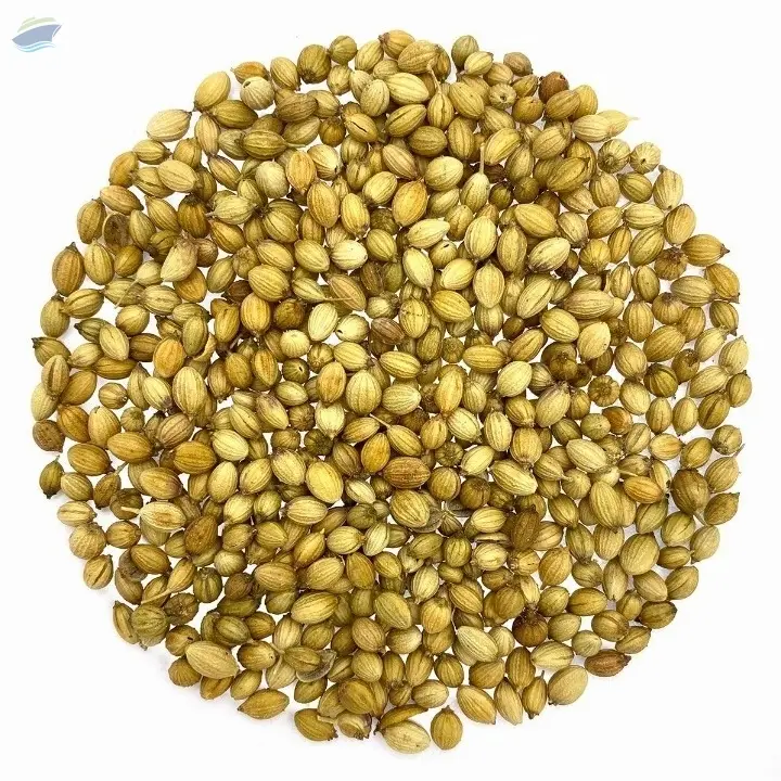 Coriander Seeds
