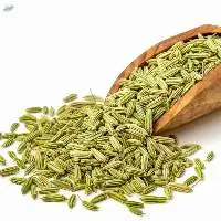 Fennel Seeds