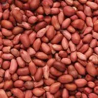 Peanuts