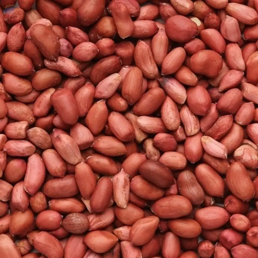 Peanuts