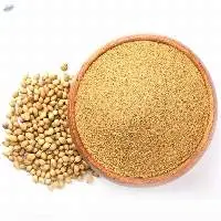 Coriander Powder