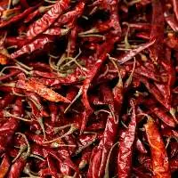 Red Chilli