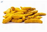 Turmeric