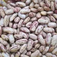 Speckled Kidney Beans
