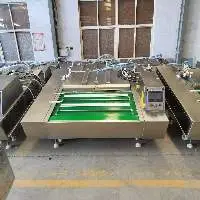 Continuous vacuum packing machine