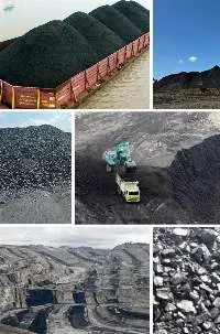 Coal