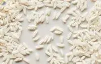 504 Rice Grains