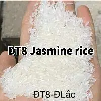 DT8 Jasmine Rice