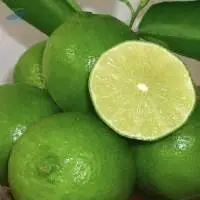 Kaji Lemon