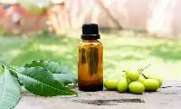 NEEM OIL