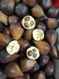 Salacca (Snake Fruit)