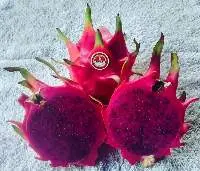 Dragon Fruit
