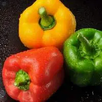 Capsicum ( Bell pepper )