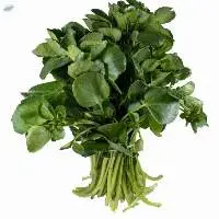 Water Cress