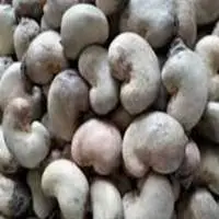 Cashew Nuts