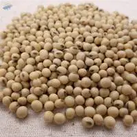 Non-GMO Soybeans